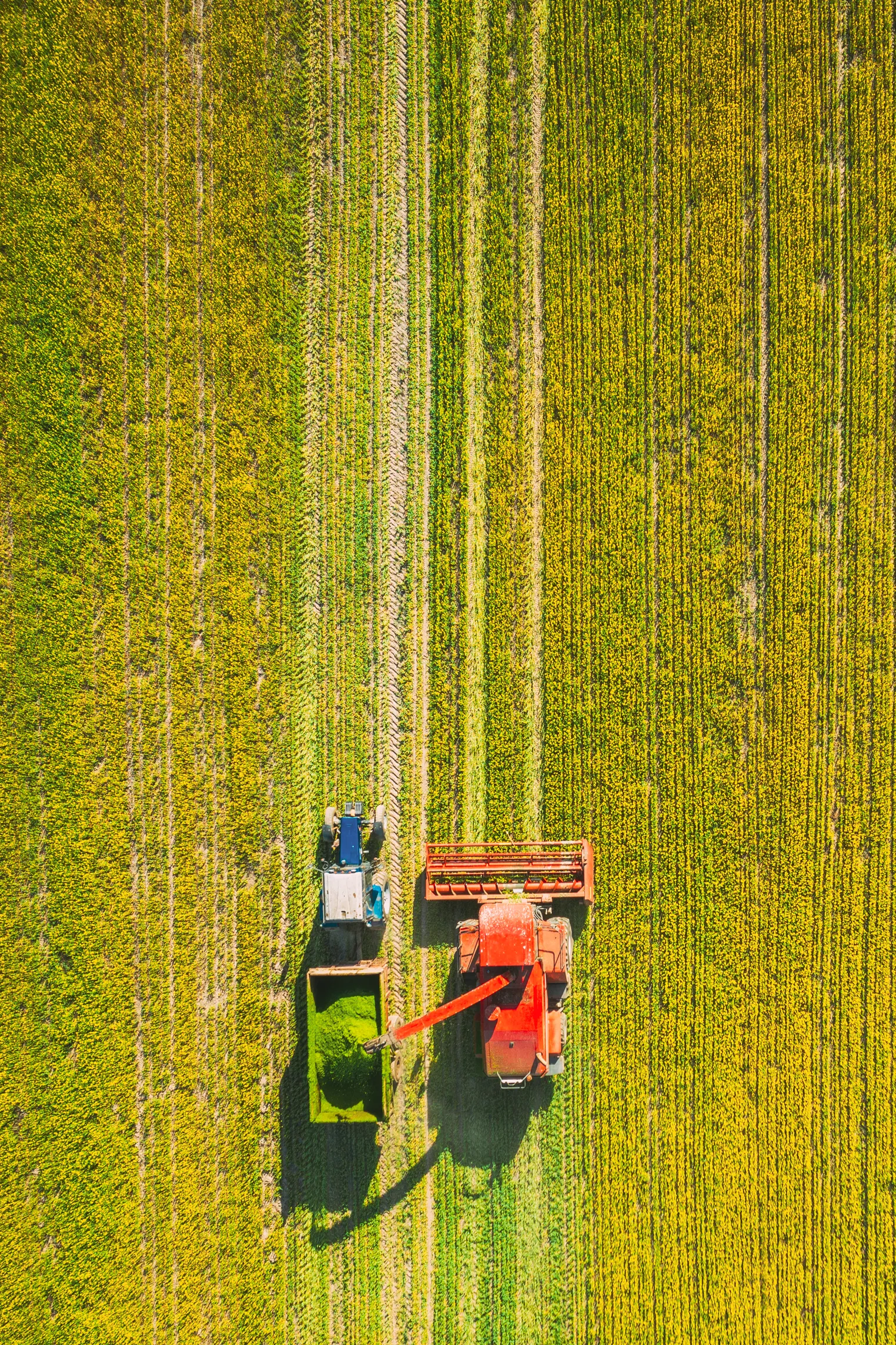 aerial view of rural landscape combine harvester 2026 01 09 06 26 49 utc