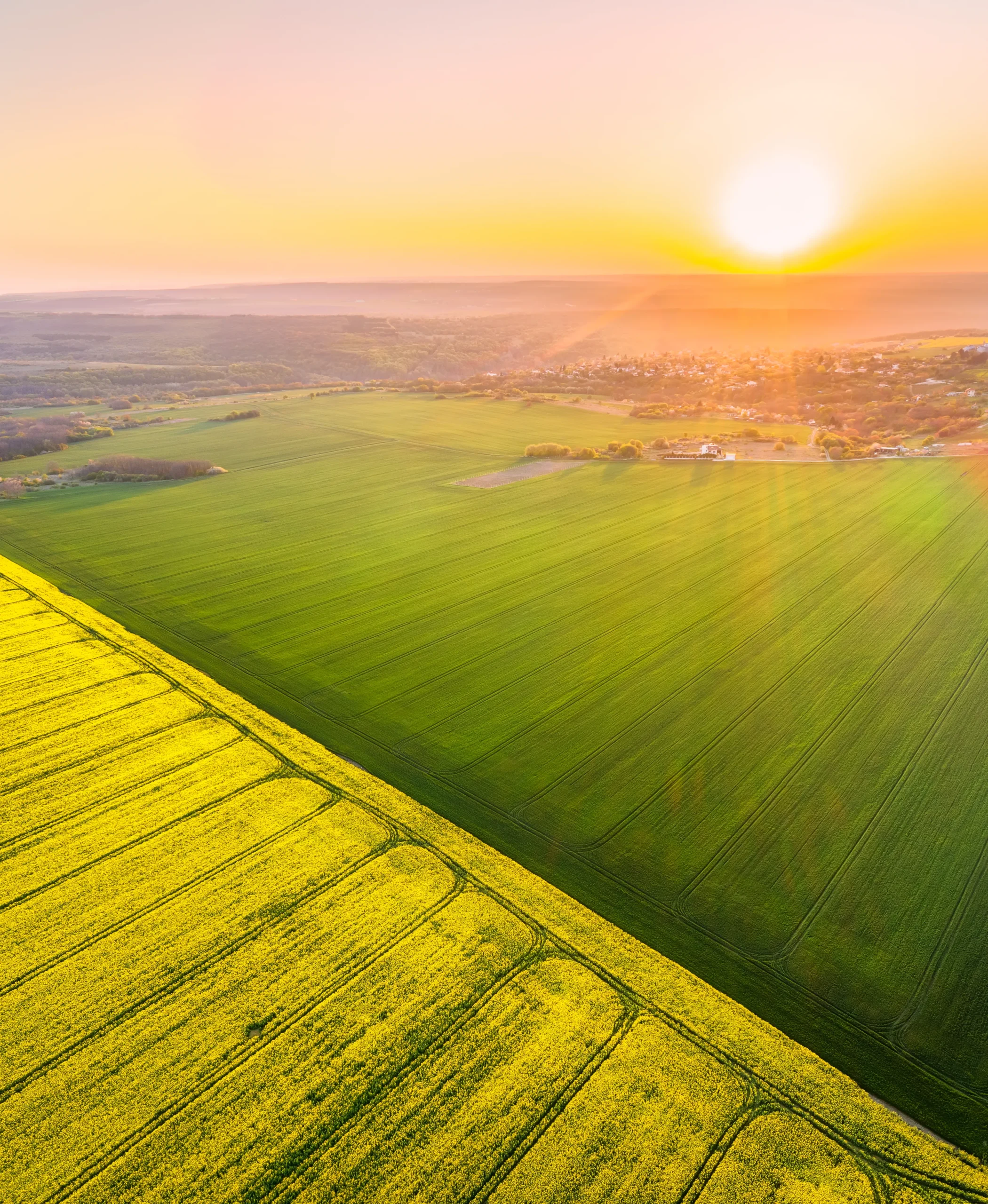 aerial view with rapeseed field 2026 01 06 10 01 26 utc scaled